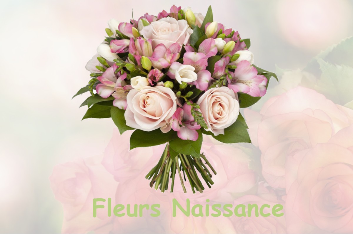 fleurs naissance SENARENS