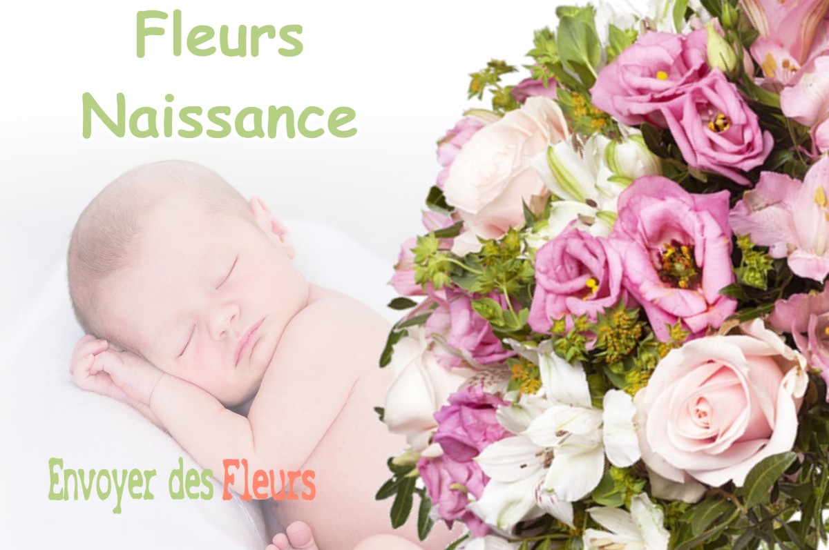 lIVRAISON FLEURS NAISSANCE à SENARENS